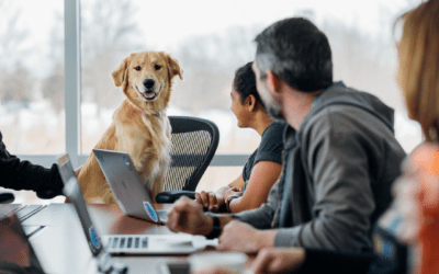 Take Your Pet to Work: How to Prepare Your Pet for the Workplace